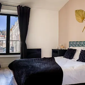 Apartment *rare Historique Calme 1min Theatre Antique, Vienne (Isere)