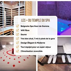 Appartement Le Temple Du, Vienne (Isere)