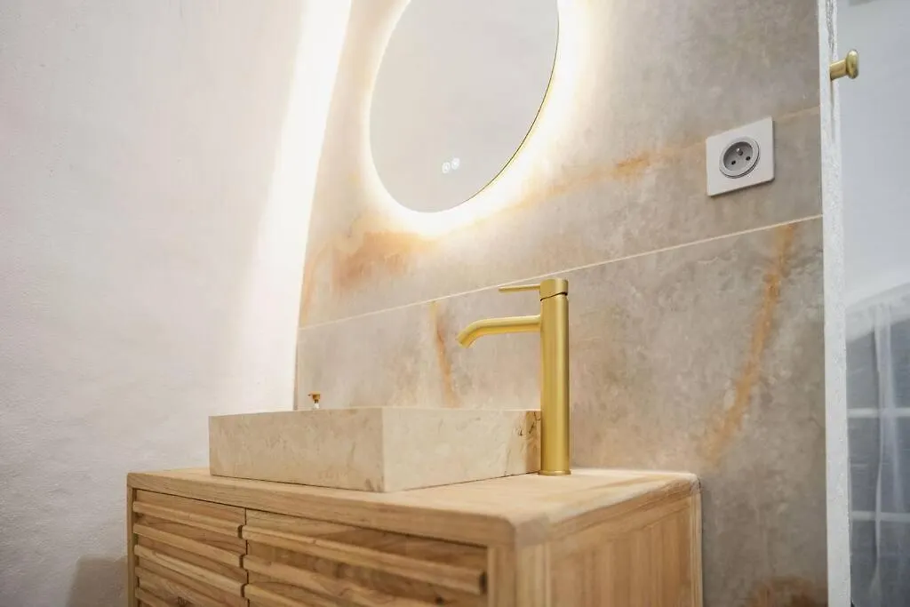 Apartment Le Temple D'Aphrodite, Appartement Avec Spa Vienne  France